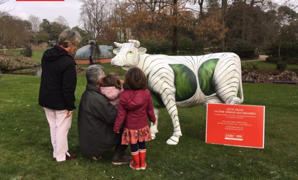 vache en balade dans le jardin des plantes – nantes